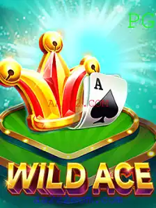 Explorando o Fascinante Mundo de WildAce: A Nova Sensação dos Jogos